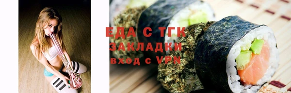 мдпв Бородино