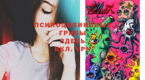 мдпв Бородино