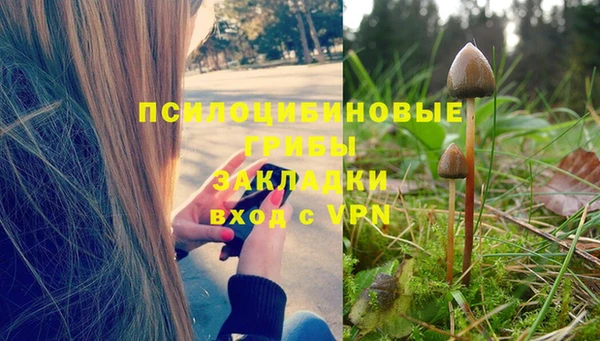 мдпв Бородино