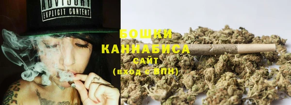 2c-b Богородицк