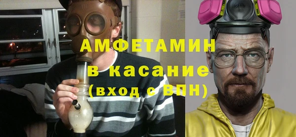 мдпв Бородино