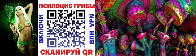 kraken зеркало  Междуреченск  Псилоцибиновые грибы Magic Shrooms 