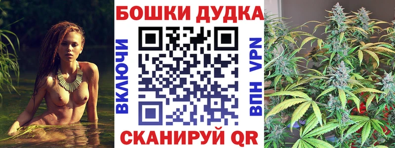 хочу   Междуреченск  Конопля индика 